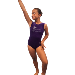 Short Sleeved Velour Leotard